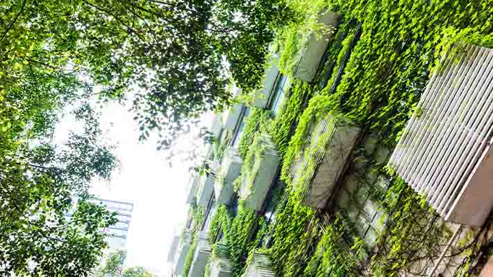 Environmental friendly workplaces for employees