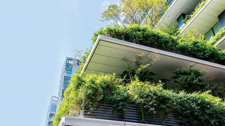 Green Balcony