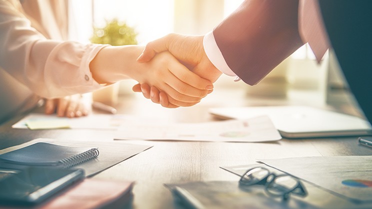 A man and a woman shake hands as they agree on a matter