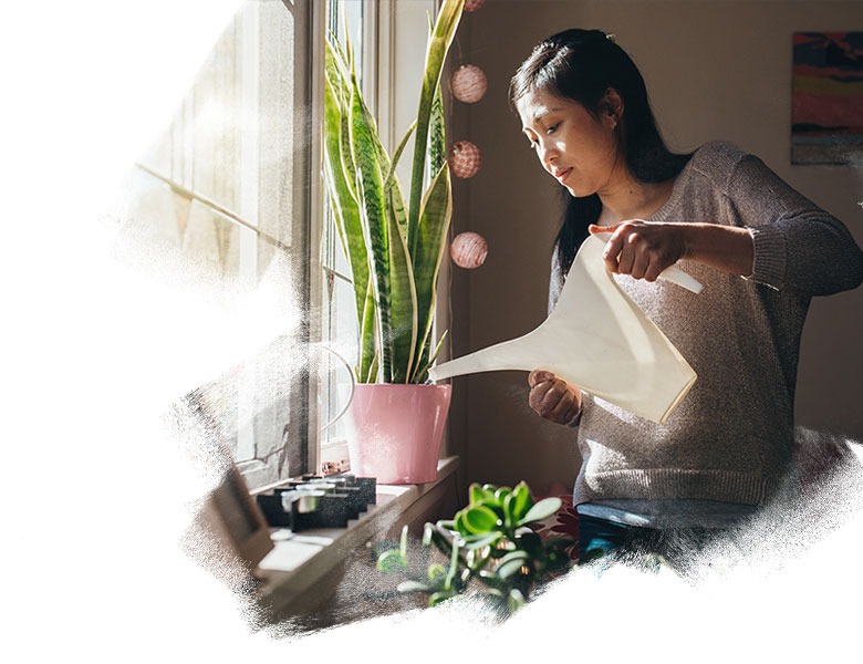 Australian Chinese woman waters the plants in her Sydney apartment