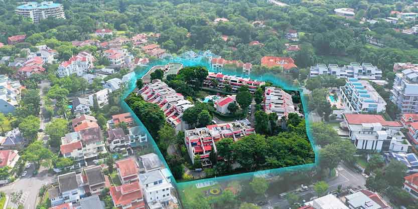 Aerial view of a City covered with trees