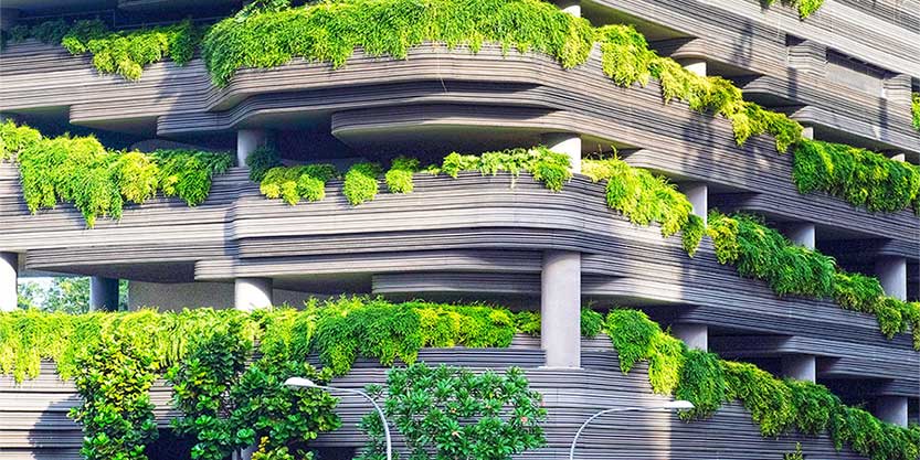 building with plants