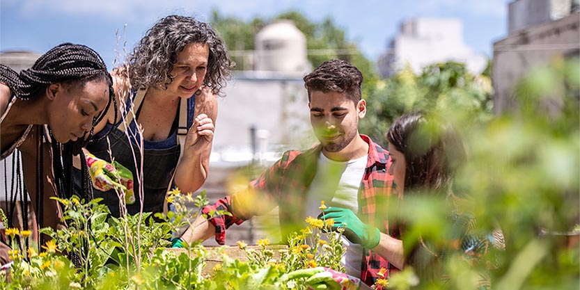 Group of people in a community garden