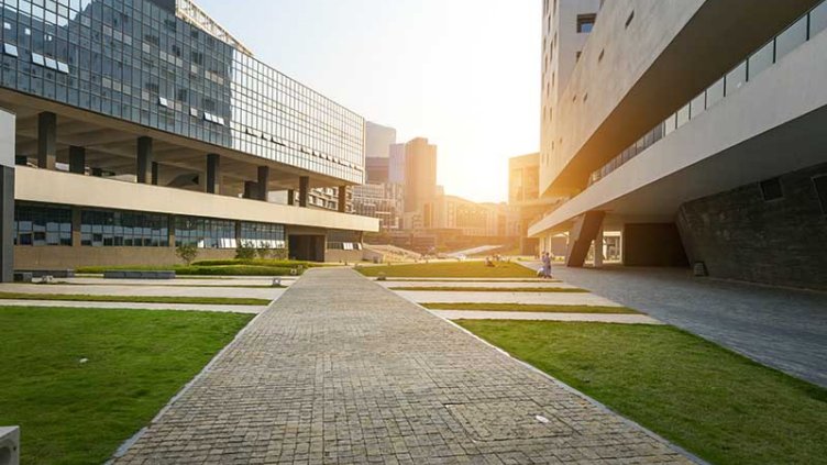 Building View