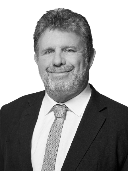 David Mayhew